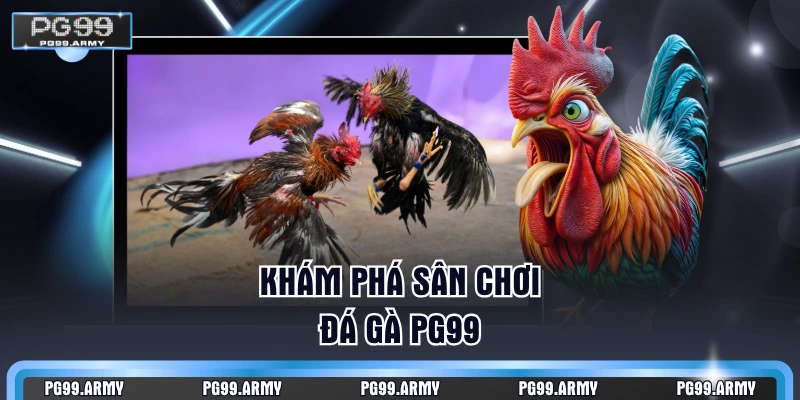Khám phá sân chơi đá gà PG99