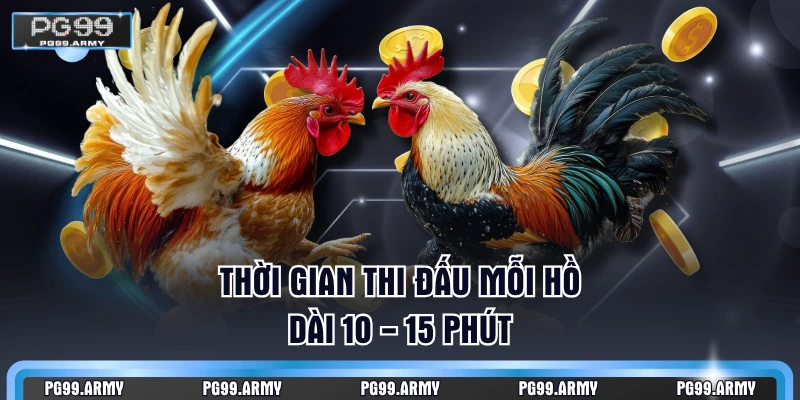 Thời gian thi đấu mỗi hồ dài 10 - 15 phút